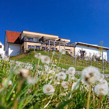 Weingut Und Gaestezimmer Perner Ehrenhausen Exterior foto